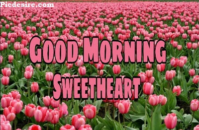 Good Morning Sweetheart, Best 20 Images of Good morning Sweetheart Good Morning Sweetheart, Best 20 Images of Good morning Sweetheart