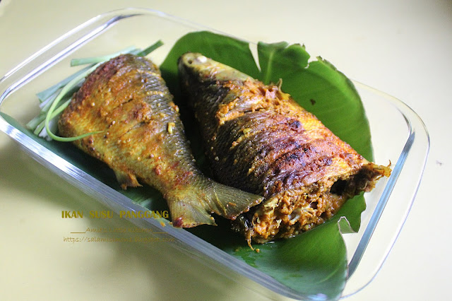 Ikan Susu Panggang Cecah Budu 