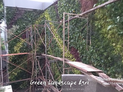 Tukang Vertical Garden Banyuwangi | Jasa Pembuatan Taman Vertikal Murah