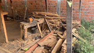 PF deflagra operações de combate a extração ilegal de madeira em terras indígenas, no sul do Maranhão