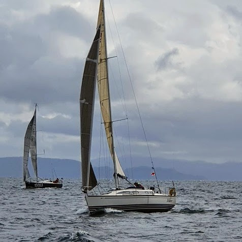 Bergen Singlehanded