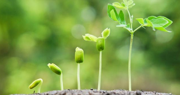 soal biologi pertumbuhan dan perkembangan soal biologi pertumbuhan dan perkembangan