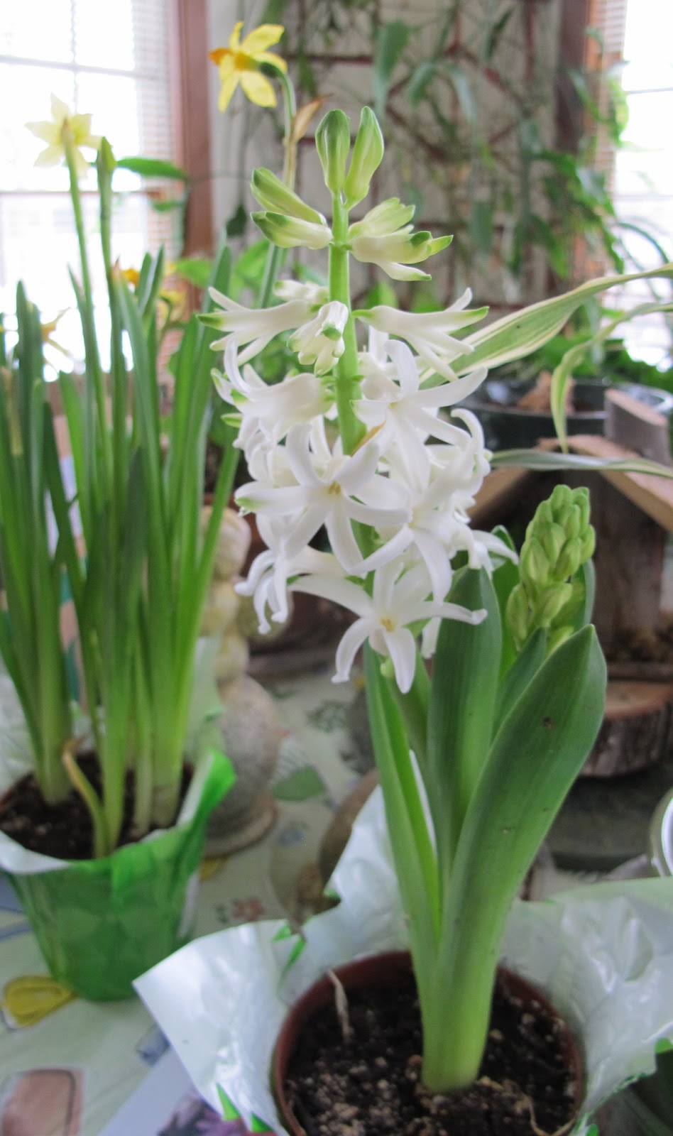 "When does spring commence?"