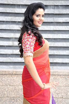 SriMukhi in Saree Photos