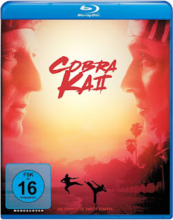 Cobra Kai – Temporada 2 [2xBD25] *Con Audio Latino