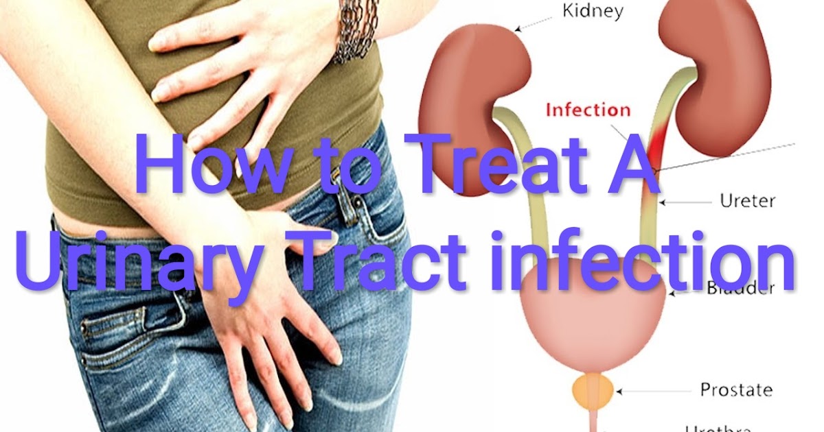 Healthcare & Health solution How to Treat A Urinary Tract Infection
