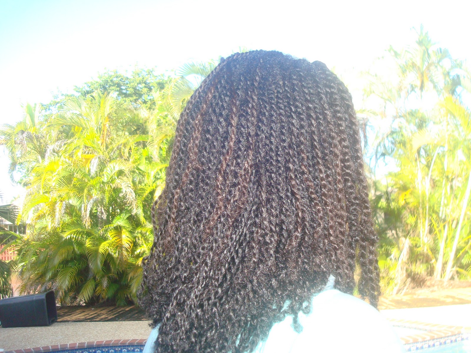 Photos Of Braided Hairstyles Using Synthetic Hair Two Strand Twists & My Low Manipulation REGIMEN For Length Retention