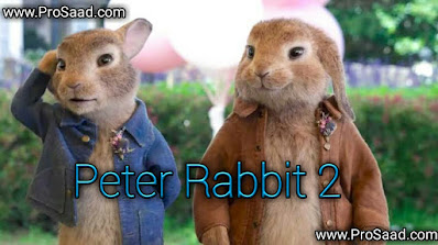 Peter Rabbit 2 Download full Movie in Hindi Dubbed