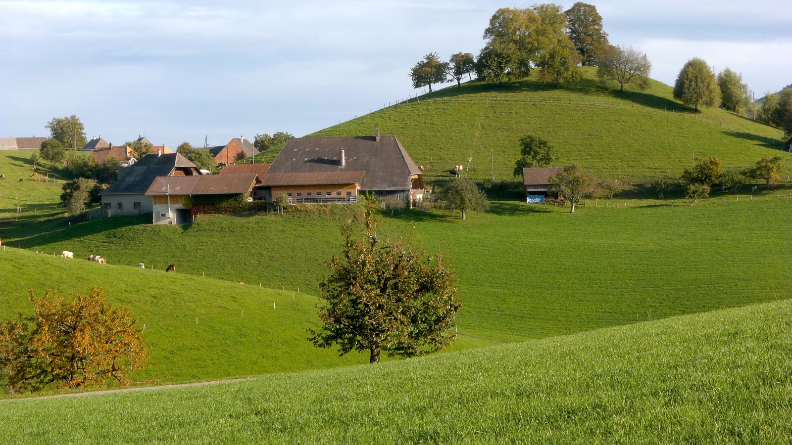 WWW Mit Tinu auf die Lueg