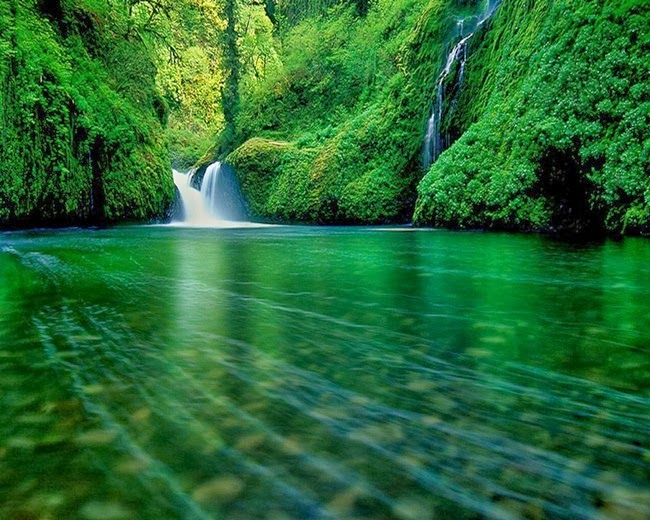 For your Desktop:::...: Beautiful Green Nature (28 Photos)