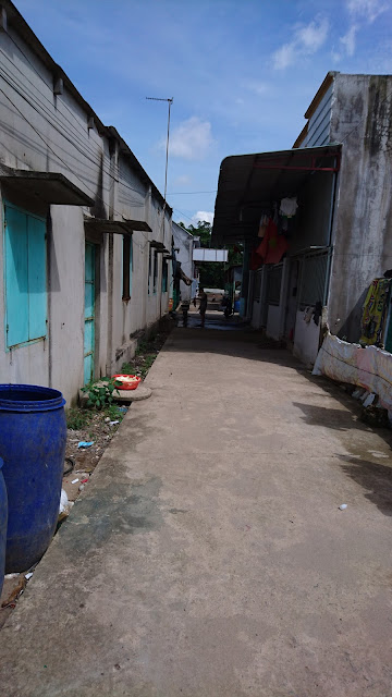 [Image: DSC_0110.JPG]