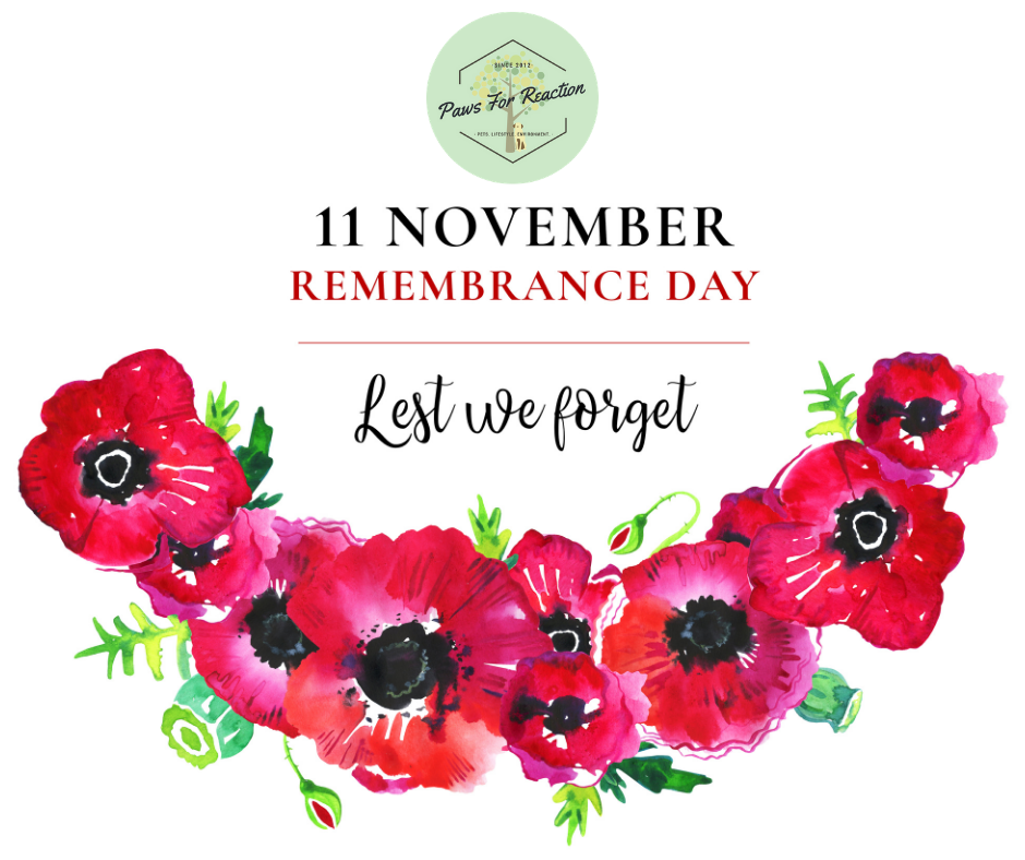 Where to watch Remembrance Day 2020 ceremonies go virtual due to COVID