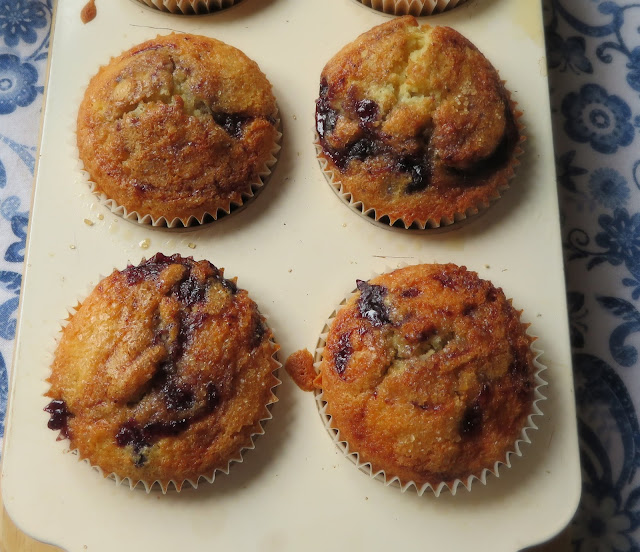 Little Blueberry Puddings