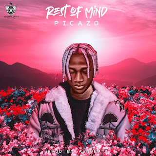 [Video] Picazo – Rest Of Mind