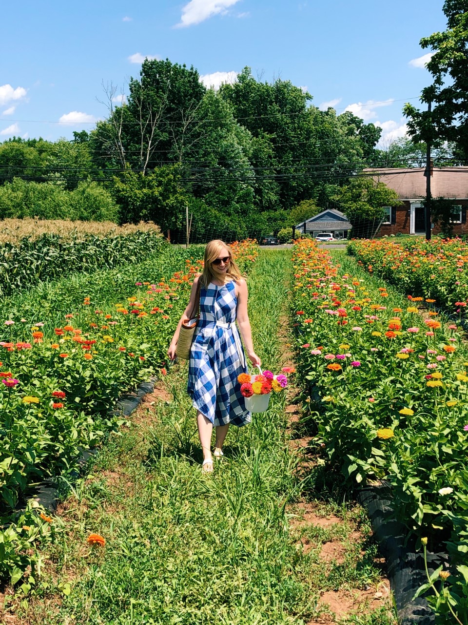 Flower Picking at Maple Acres Farm Organized Mess