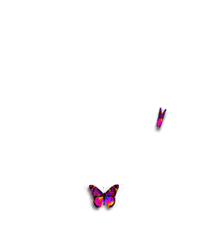 SimoneAni385-dropshadow-multicolor-previ