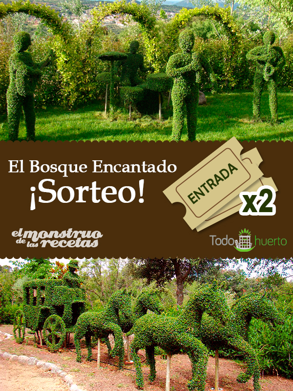 Sorteo entradas para El Bosque Encantado El Monstruo de las Recetas