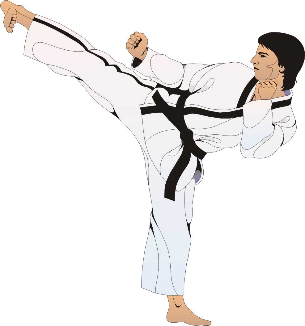 cartoon karate clip art free - photo #12