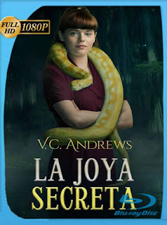 La joya secreta (2021) HD [1080p] Latino [GoogleDrive] PGD
