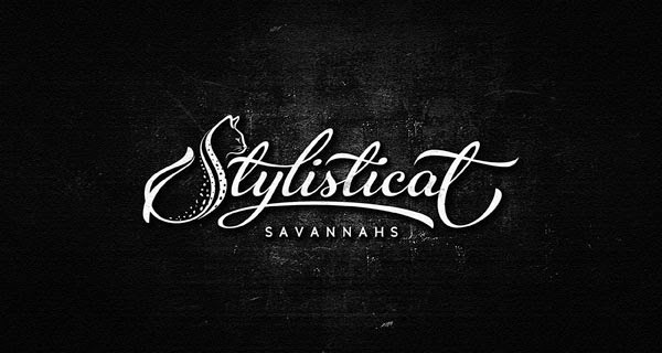 Contoh Inspirasi Logo Script Logo Type Contoh Inspirasi Logo Script Logo Type