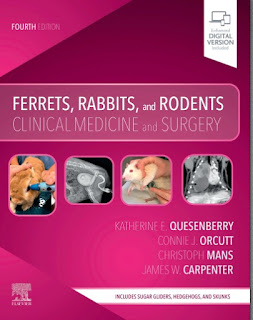 Ferrets, Rabbits, and Rodents Clinical Medicine and Surgery 4th Edition