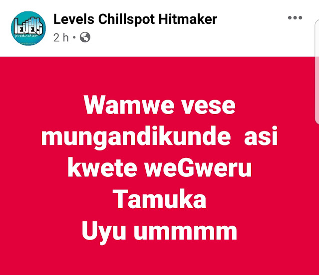 LEVELS, DJ TAMUKA CHABVONDOKA Mafaro