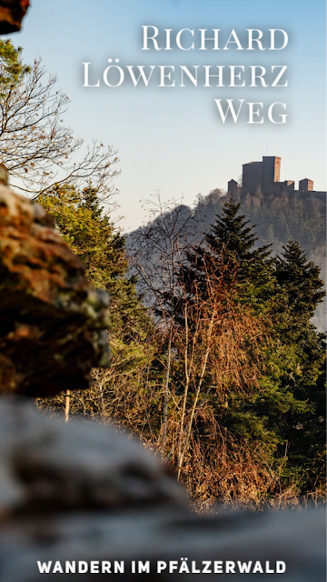 Richard-Löwenherz-Weg  Annweiler am Trifels  Wandern Südliche Weinstraße  Wanderung Pfälzerwald 17