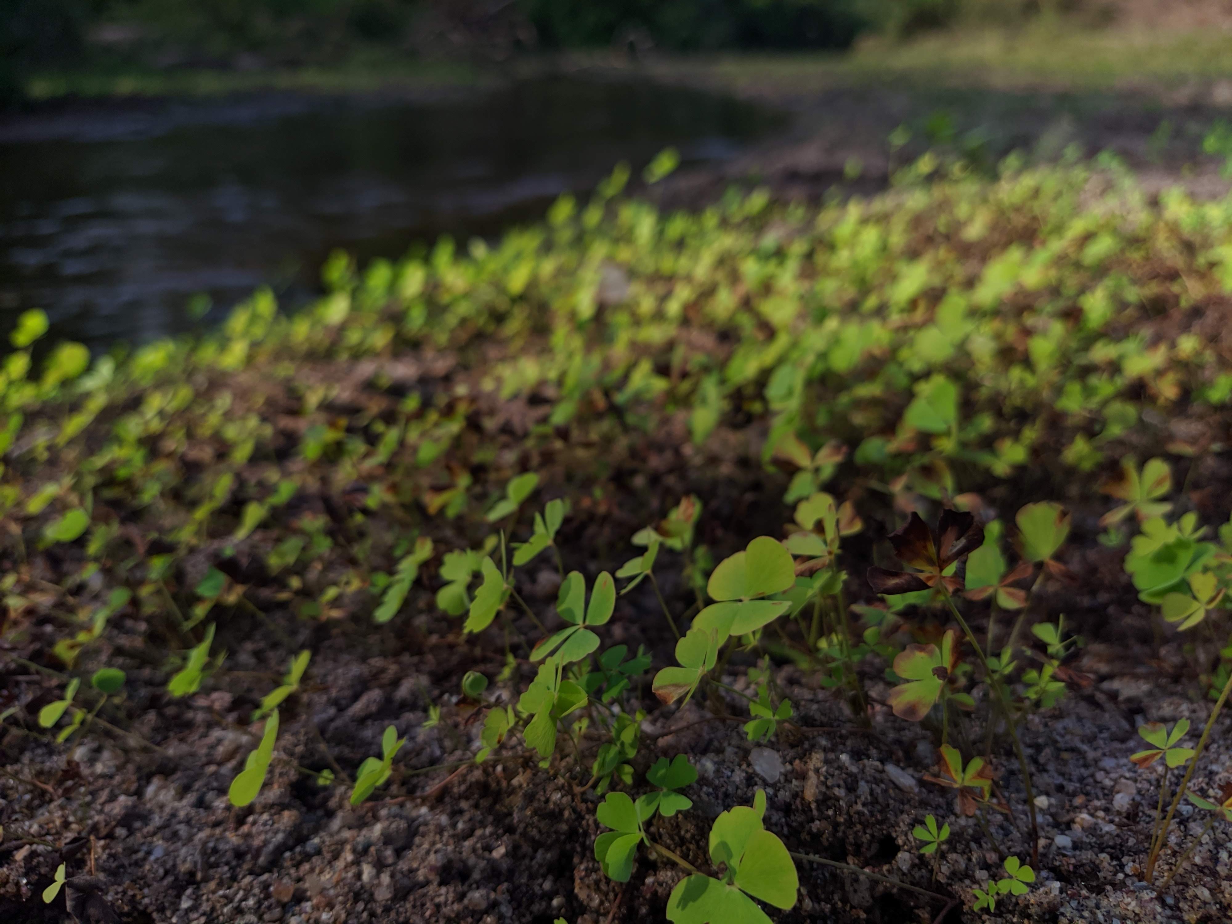 Respect and chisel yourself.