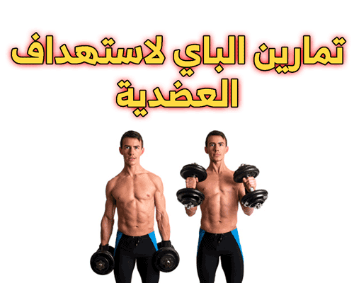 تمارين البايسبس