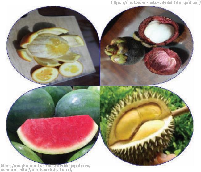 BAB VI PENGOLAHAN BAHAN PANGAN HASIL SAMPING BUAH MENJADI