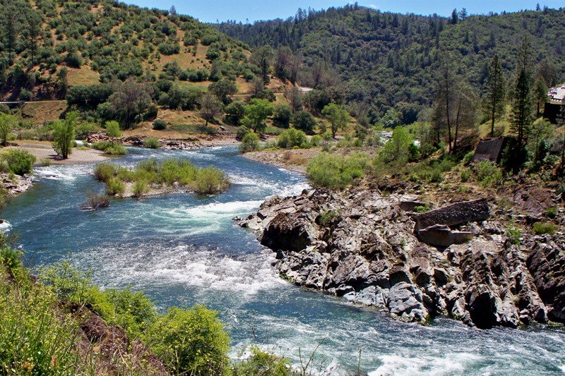 Random Images from a Nightowl Along the American River in California
