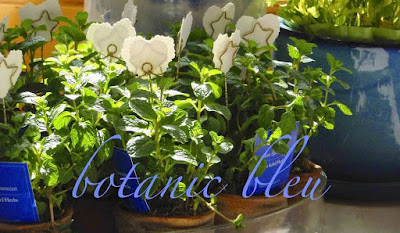 Botanic Bleu