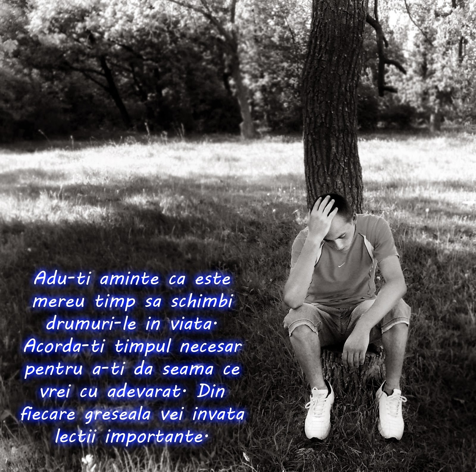 Poze cu mesaje frumoase Poze rase de pisici apartament Poze cu mesaje frumoase Poze rase de pisici apartament