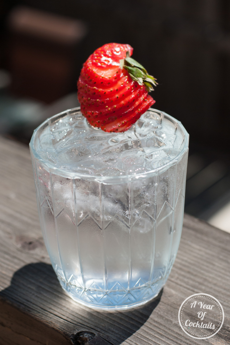 2 New Zero Sugar Vodka Soda Recipes A Year of Cocktails