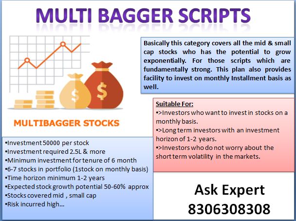  Multi bagger Scripts