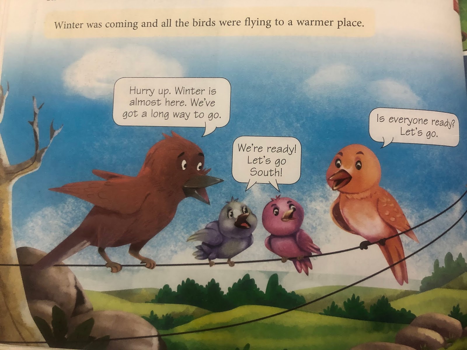 Lesson 1 Why Evergreen Trees Never Lose Their Leaves