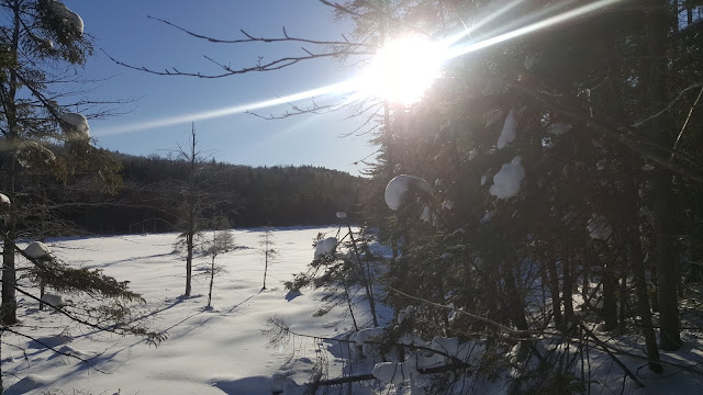 Sur le sentier Swaggin pour la Montagne du Tranchant