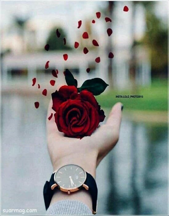 صور عرض واتساب صور واتس اب جديده جميلة و مضحكة, تحميل