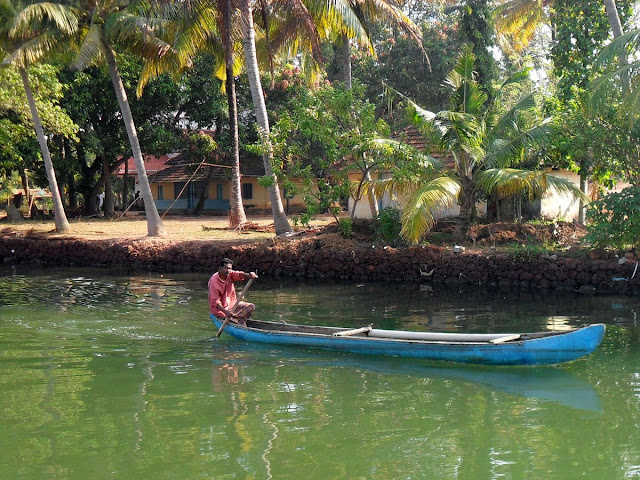 Индия Керала лодка берег с пальмами