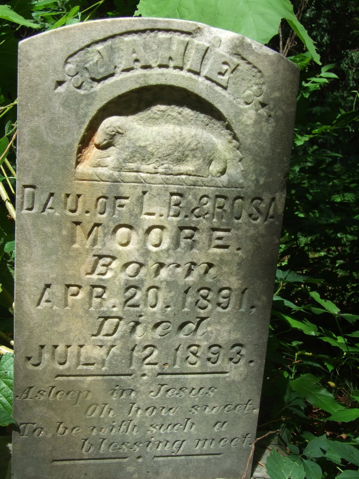 Last Words Jonesville Cemetery (photography by Dunerat)