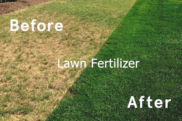 The Best Lawn Fertilizer