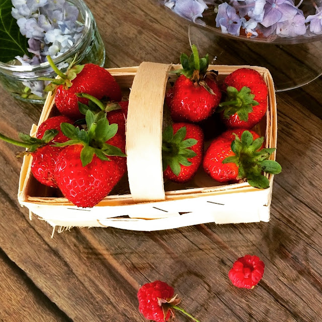 Erdbeeren frisch vom Feld - hier kann man Erdbeeren selber ernten in ...