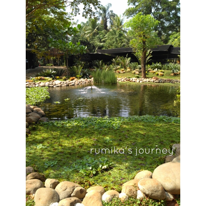 5 Hal Unik Yang Bisa Ditemui Di Godong Ijo Rumika S Journey