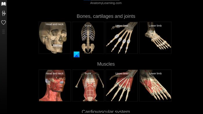 Software web di anatomia per l'apprendimento di anatomia