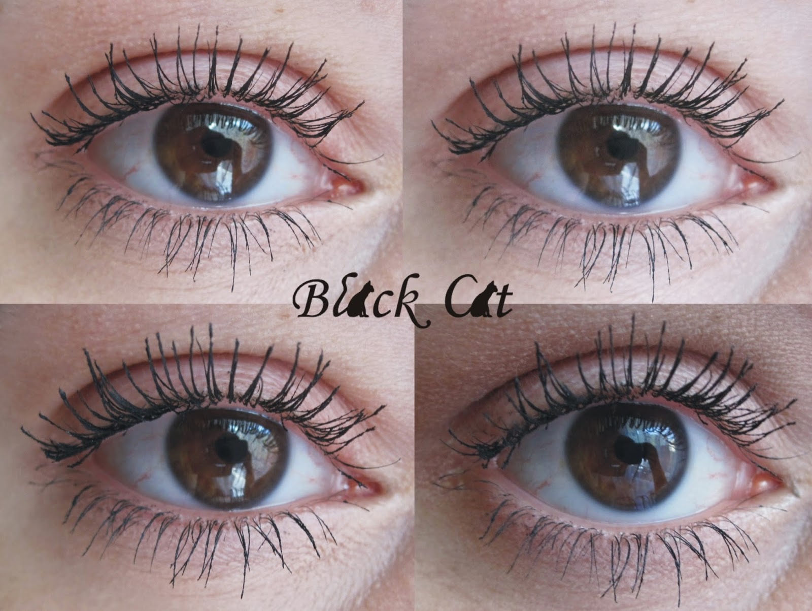 Land of Style Dior Diorshow Iconic Overcurl Mascara