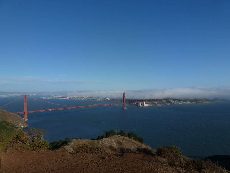 11: Muir Woods - Golden Gate - Driving me ... USA (19)