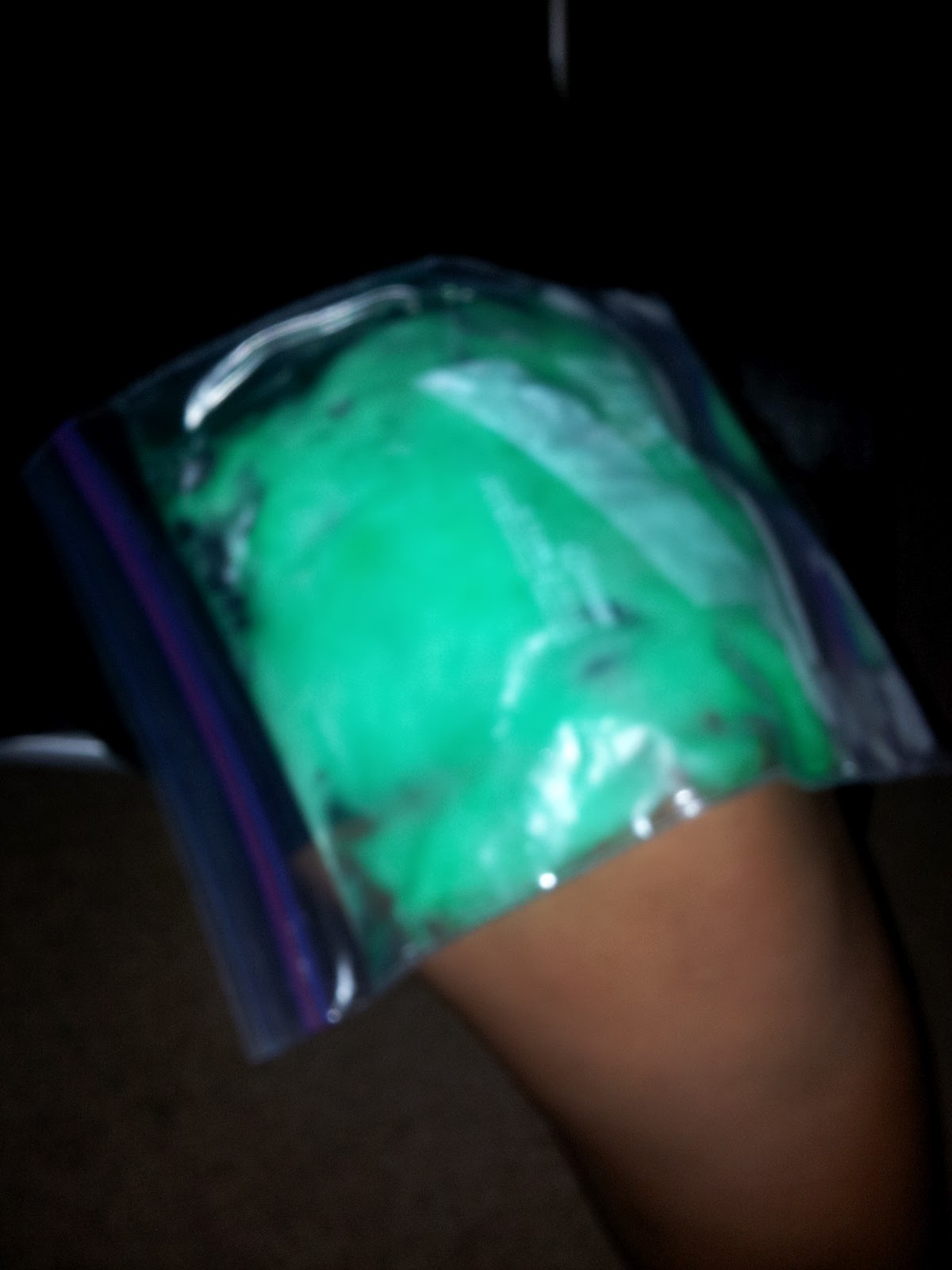 Frugality Is My Reality Make It Yourself Ice Packs