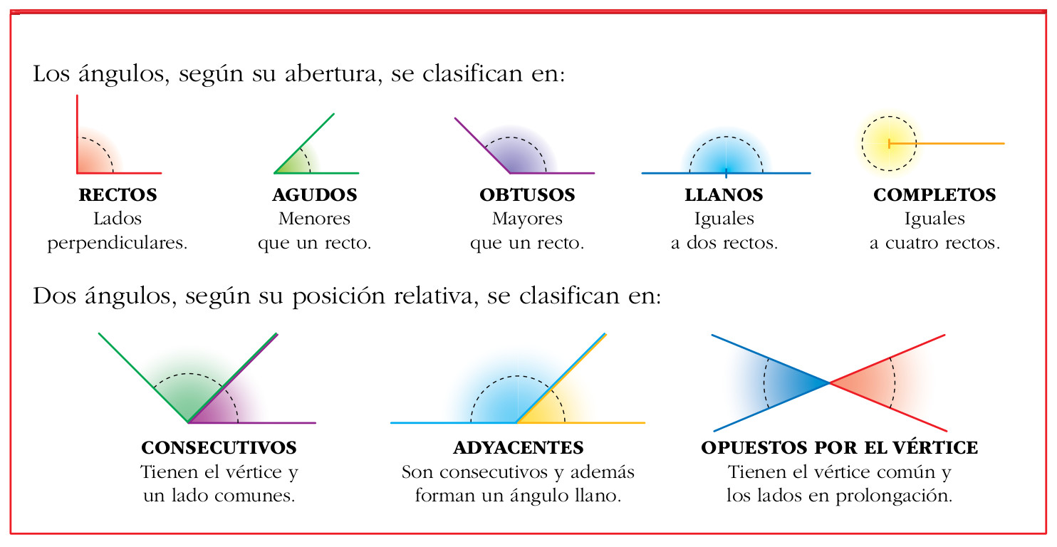 alasmates Ángulos según su abertura y posición