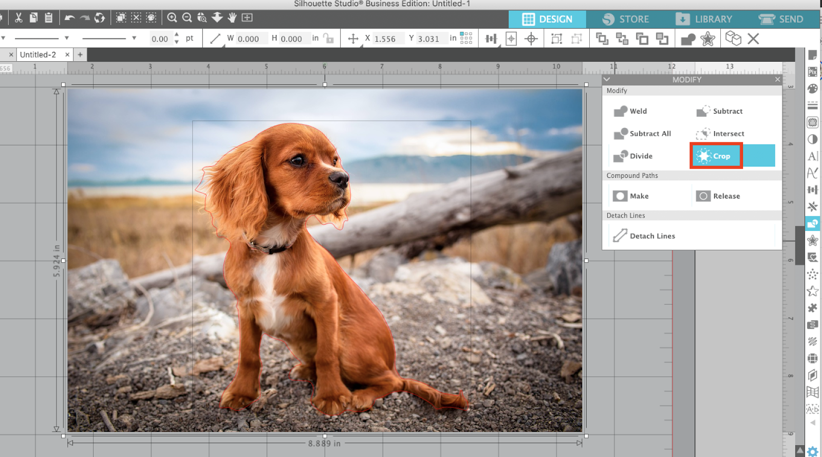 How to Remove a Photo Background in Silhouette Studio - Silhouette School