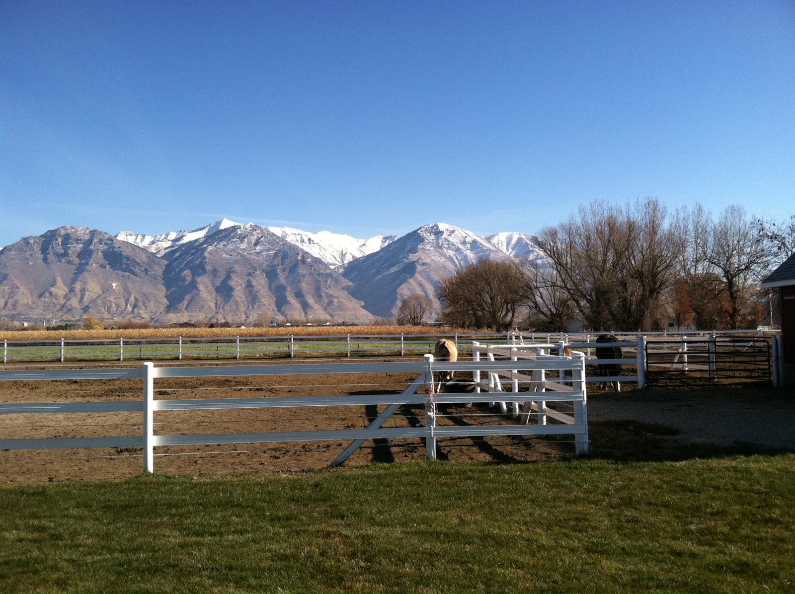 The Shanna Day Team: Beautiful 2 Acre Horse Property w/ Mountain Views